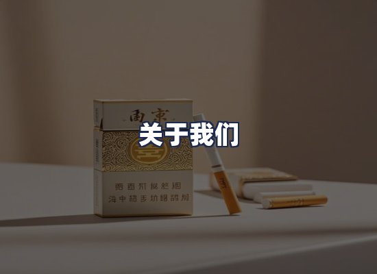 关于我们